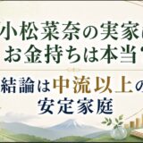 小松菜奈の実家はお金持ちは本当？結論は中流以上の安定家庭